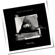 Alice In Chains - Rainier Fog