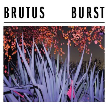 Brutus - Burst Artwork