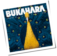 Bukahara - Canaries in a Coal Mine