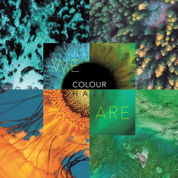 Colour Haze - We Are Artwork