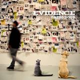 Evidence - Cats & Dogs Artwork