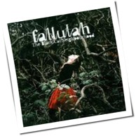 Fallulah - The Black Cat Neighbourhood