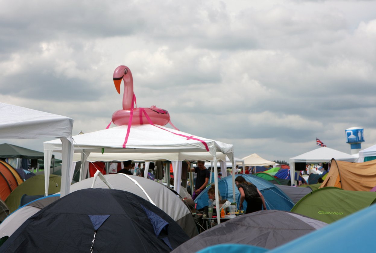 Die schönsten Bilder vom Festival-Gelände. – Brutplatz?