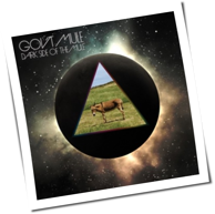 Gov't Mule - Dark Side Of The Mule