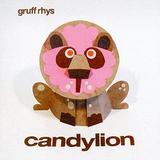 Gruff Rhys - Candylion Artwork