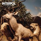 Interpol - Our Love To Admire Artwork