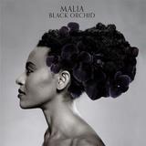 Malia - Black Orchid Artwork
