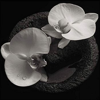 Mike Patton & Jean-Claude Vannier - Corpse Flower Artwork