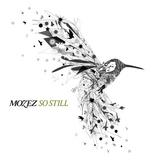 Mozez - So Still
