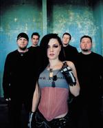 Evanescence: Probleme mit dem F-Wort