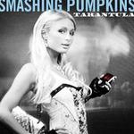 Pumpkins: Special Edition-Flut mit Paris Hilton