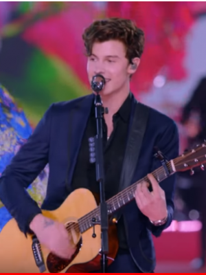 Shawn Mendes: Umgeben von Traumfrauen