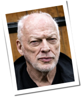 Vorchecking: David Gilmour, Farid Bang, Curse, Cardigans