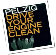 Pelzig - Drive Your Engine Clean