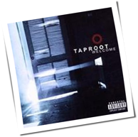 Taproot - Welcome