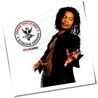 Terence Trent D'Arby - Sananda Maitreya's Wildcard