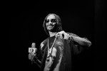 Kendrick Lamar, Steven Wilson und Co,  | © laut.de (Fotograf: Michael Grein)