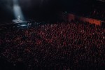 Die Hamburger machen Remmidemmi ohne Ende - und das kurz vor Weihnachten!, Berlin, Max-Schmeling-Halle, 2024 | © laut.de (Fotograf: Rainer Keuenhof)