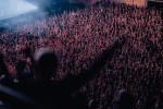 Die Hamburger machen Remmidemmi ohne Ende - und das kurz vor Weihnachten!, Berlin, Max-Schmeling-Halle, 2024 | © laut.de (Fotograf: Rainer Keuenhof)