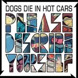 Dogs Die In Hot Cars - Please Describe Yourself