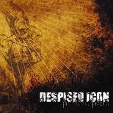 Despised Icon - The Healing Process