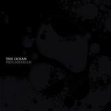 The Ocean - Precambrian