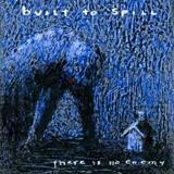 Built To Spill - There Is No Enemy