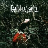 Fallulah - The Black Cat Neighbourhood