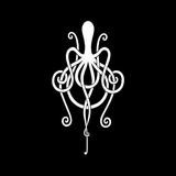Amplifier - The Octopus