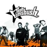 Various Artists - Team Eimsbush