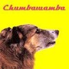 Chumbawamba - WYSIWYG