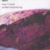New Flesh - Understanding: Album-Cover