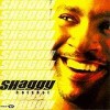 Shaggy - Hotshot