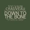Sylvain Chauveau & Ensemble Nocturne - Down To The Bone: Album-Cover