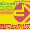 Bigga Bush - Sound Sensation: Album-Cover