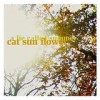 Cat Sun Flower - A Lie Called Summer: Album-Cover