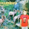 Grandaddy - Below The Radio