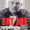 Fat Joe - All Or Nothing: Album-Cover