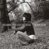 Vienna Teng - Dreaming Through The Noise: Album-Cover