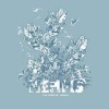 Memfis - The Wind-Up: Album-Cover