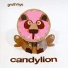 Gruff Rhys - Candylion: Album-Cover