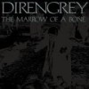 Dir En Grey - The Marrow Of A Bone