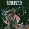 Face Down Hero - Opinion Converter: Album-Cover