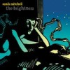 Anais Mitchell - The Brightness: Album-Cover