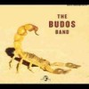 The Budos Band - II