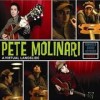 Pete Molinari - A Virtual Landslide: Album-Cover