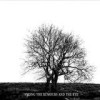 Mr. David Viner - Among The Rumours And The Rye: Album-Cover