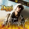 Ziggi - In Transit: Album-Cover