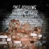 Male Bonding - Nothing Hurts: Album-Cover