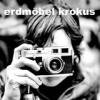 Erdmöbel - Krokus